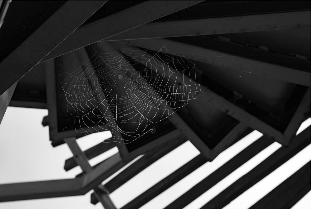 Photograph by Taтьяна Войлокова