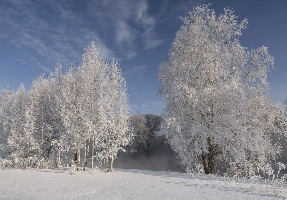 Photograph by Александр Гвоздь