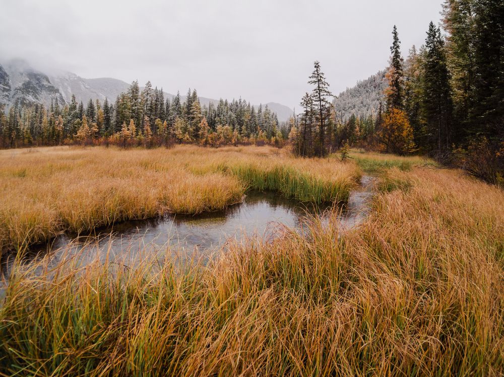 Photograph by Андрей Хаймин