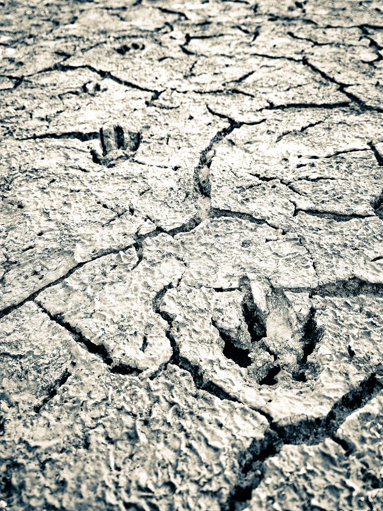 Photograph by Сергей Кесаев