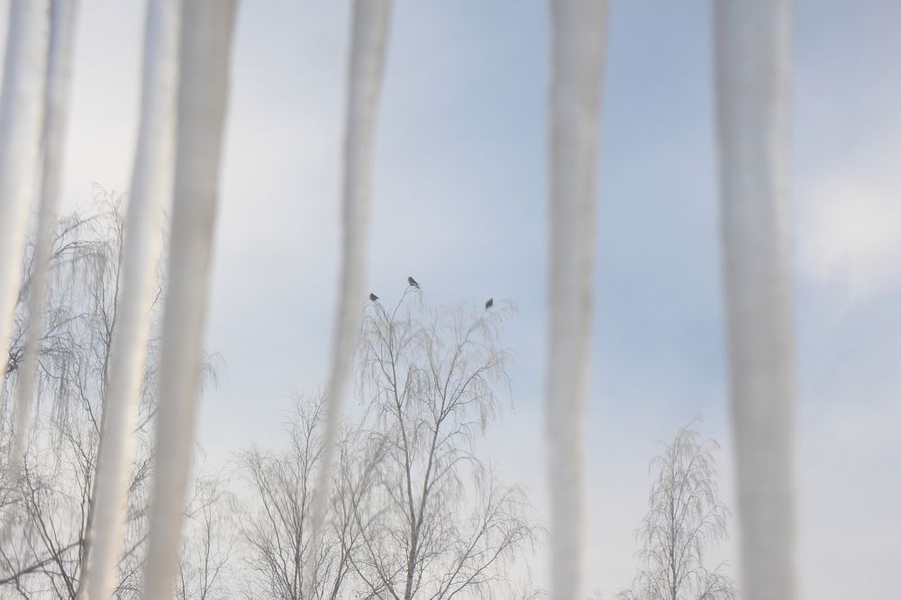 Photograph by Валентина