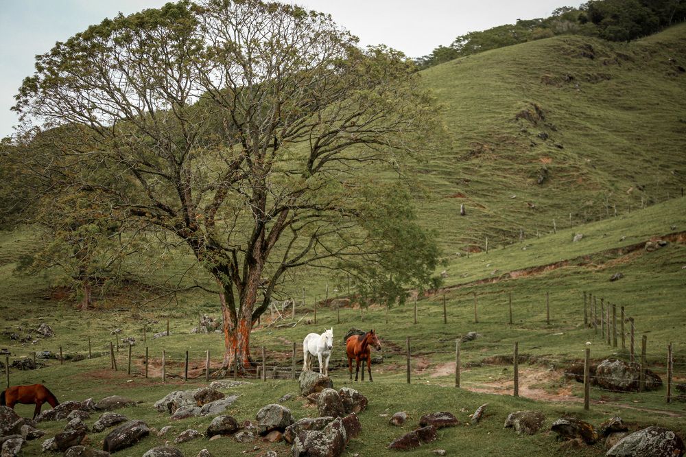 Photograph by Celso Ricardo