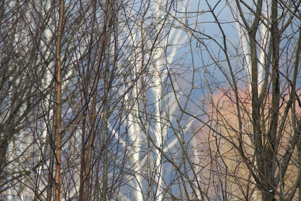 Photograph by Валентина