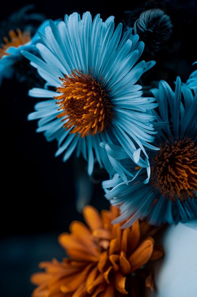 Photograph by дмитрий игнатов