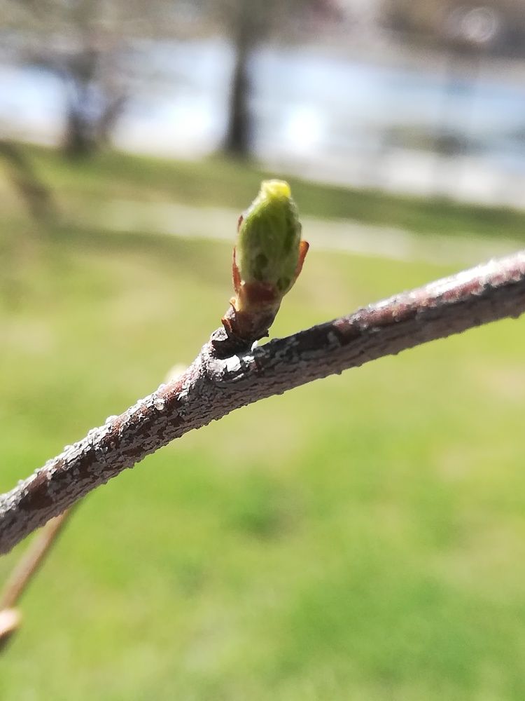 Photograph by Evgeniya Burkaeva