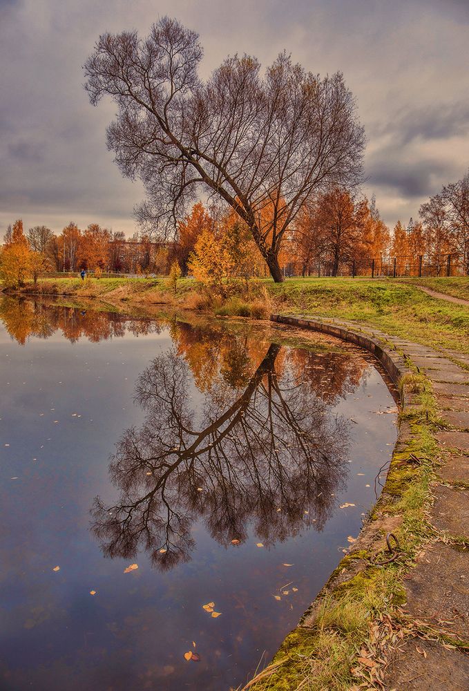 Photograph by Александр Смыков