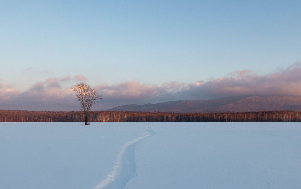 Photograph by Николай Шепелев