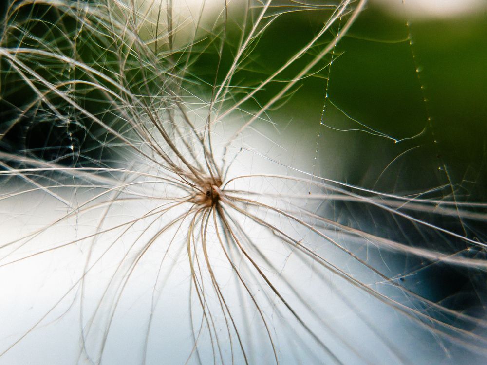 Photograph by Vitaliy