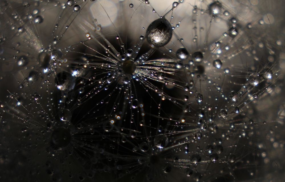 Photograph by Валентина