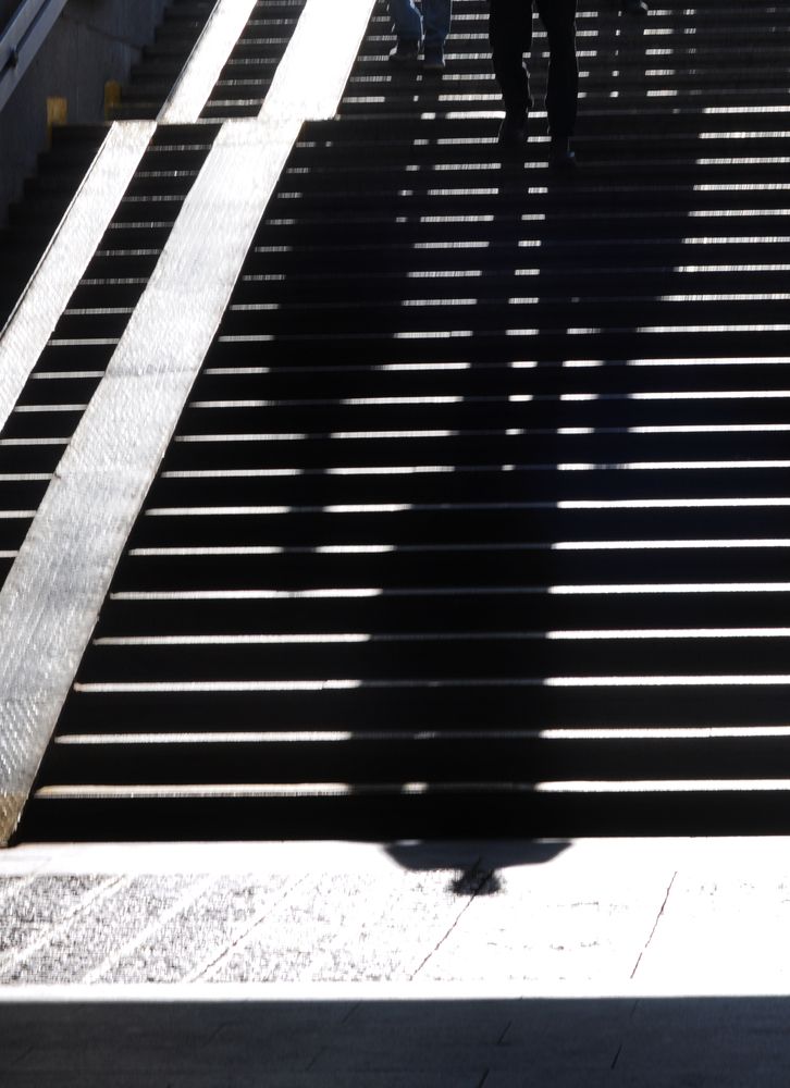 Фотография автора Наталья Белова