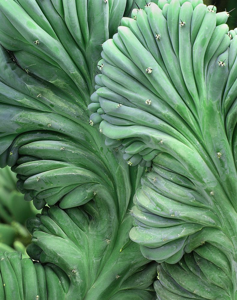 Photograph by Наталья Белова