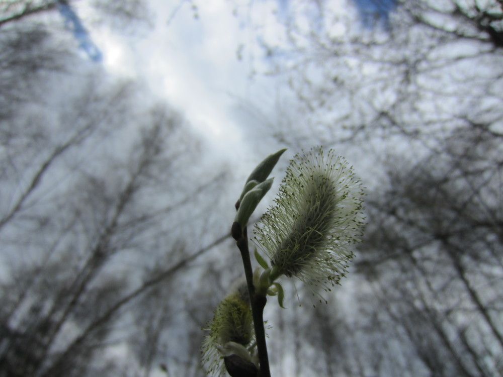 Photograph by Валентина