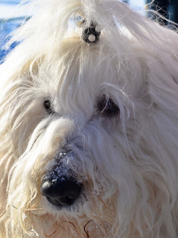 Photograph by Валерий Верещако