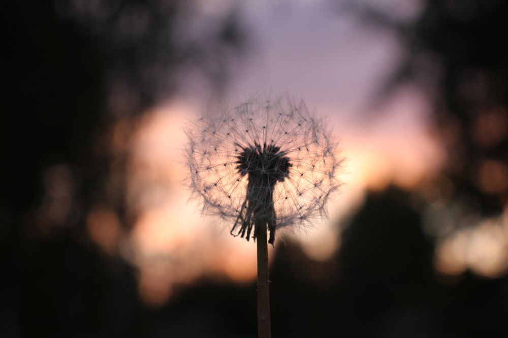 Photograph by Валентина