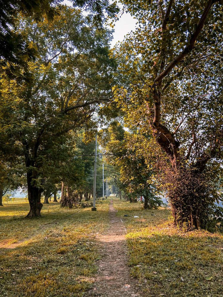 Photograph by Soumyojit Sinha