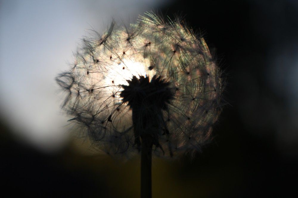 Photograph by Валентина