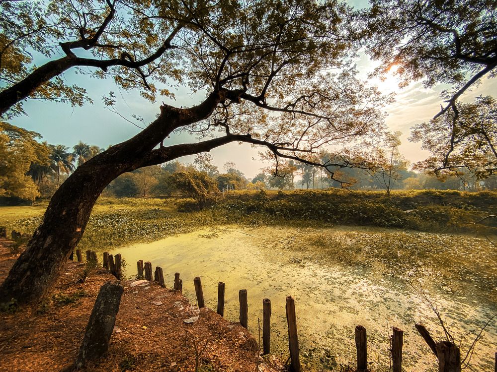 Photograph by Soumyojit Sinha