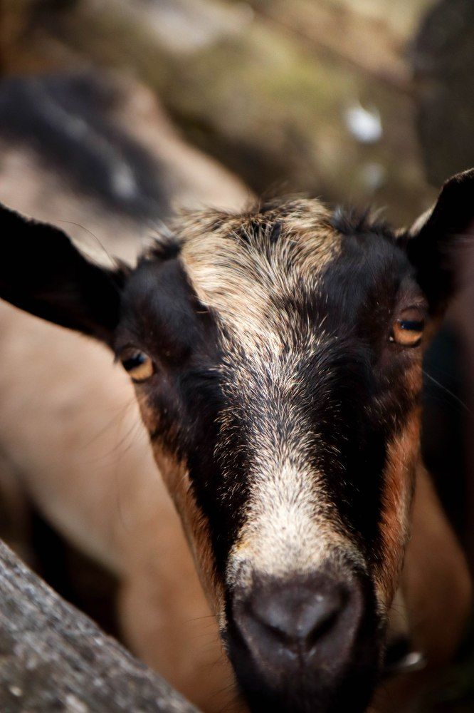 Photograph by Игорь Тюменцев