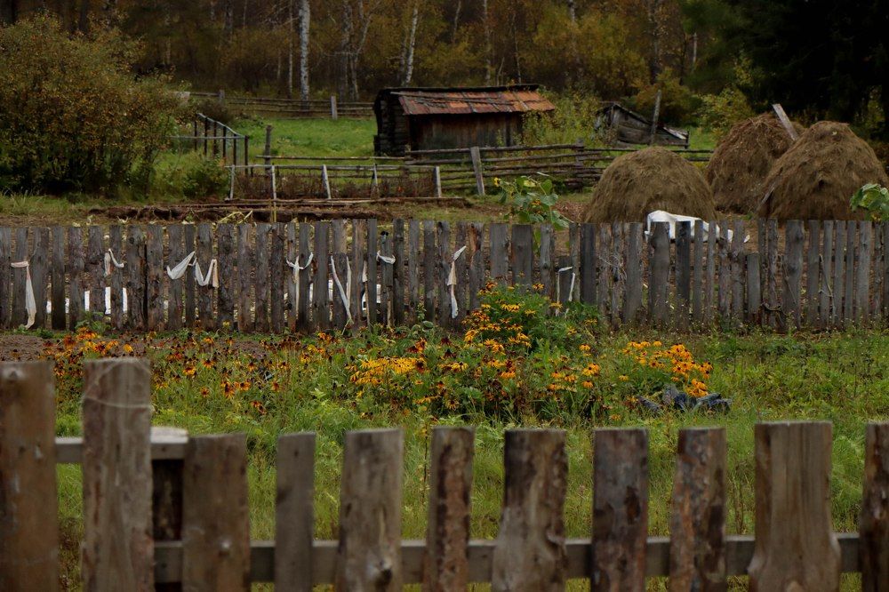 Photograph by Игорь Тюменцев