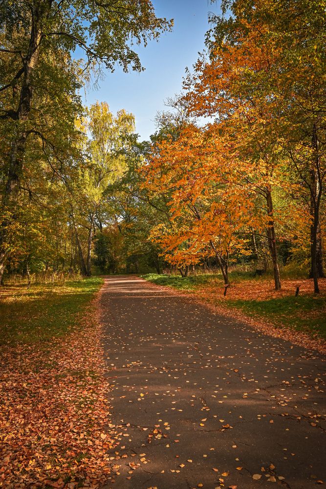 Фотография автора Сморчков Сергей