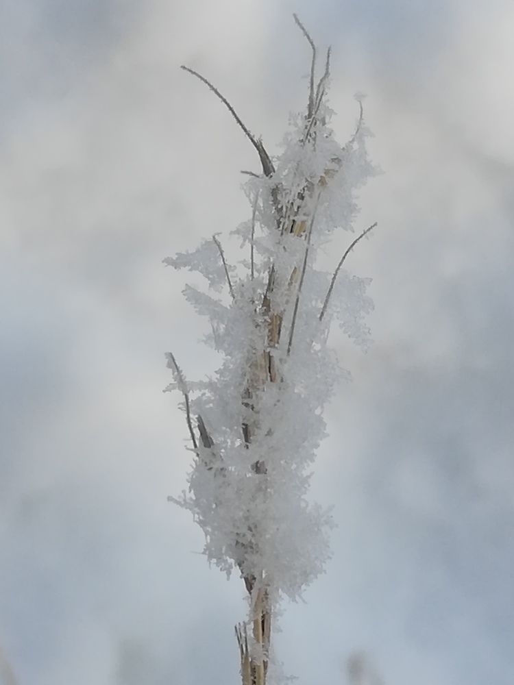 Photograph by Evgeniya Burkaeva