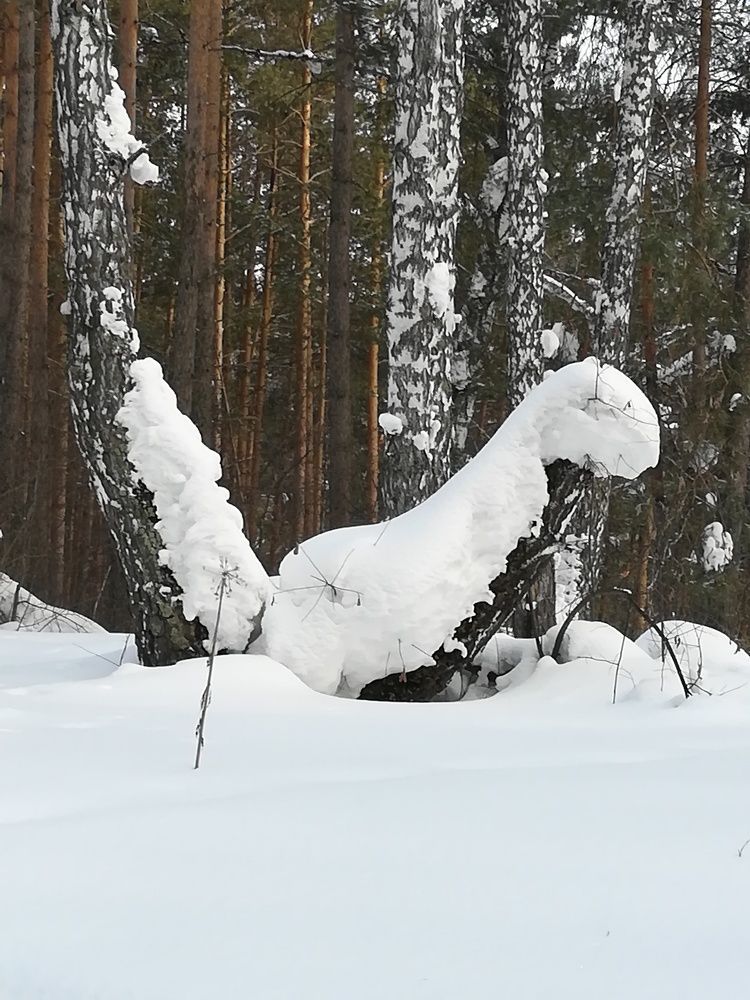 Photograph by Evgeniya Burkaeva