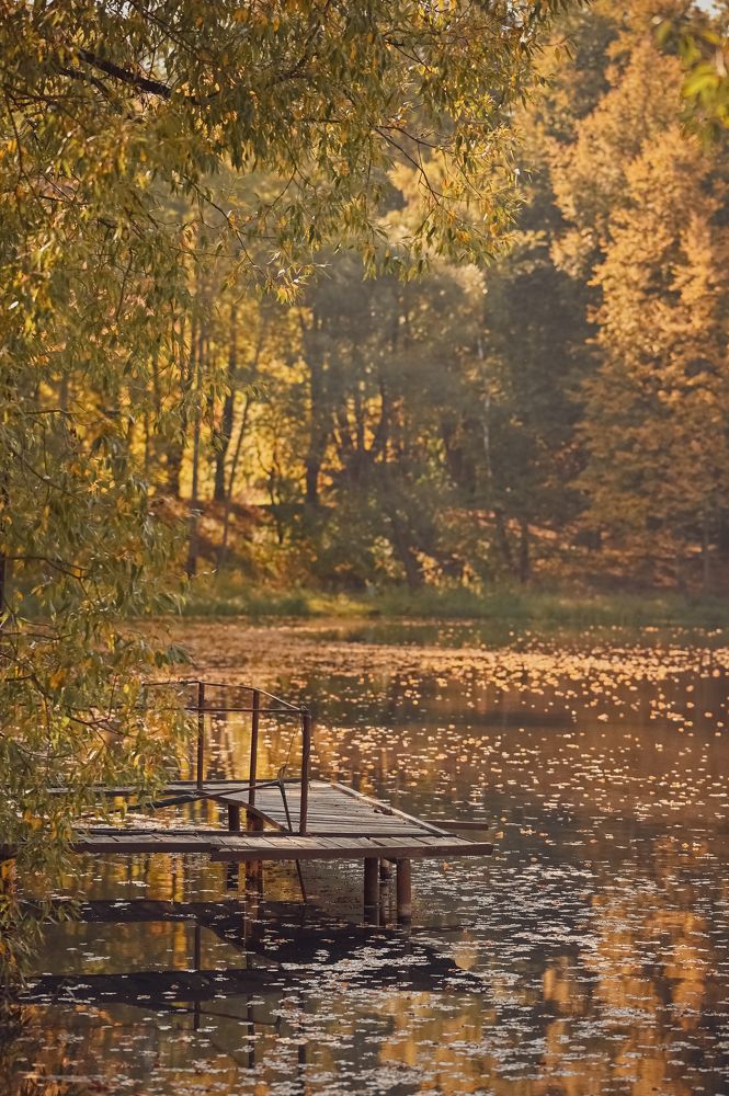 Photograph by Наталья Гришаева