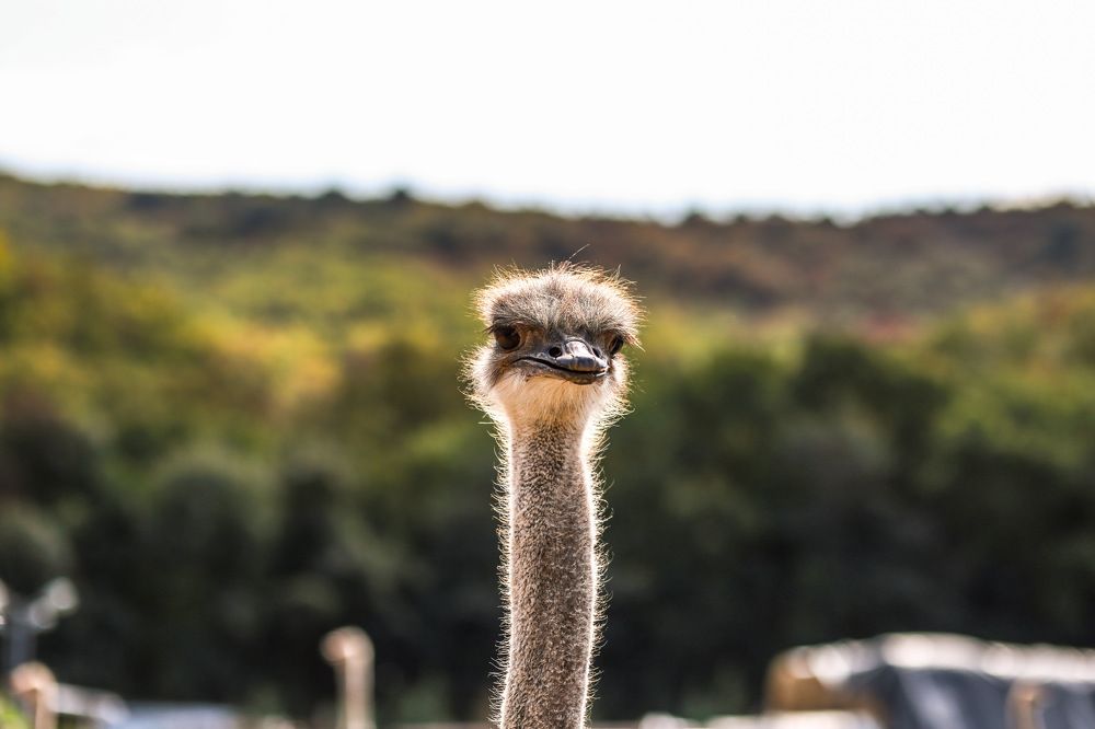 Фотография автора Юлия Жукова