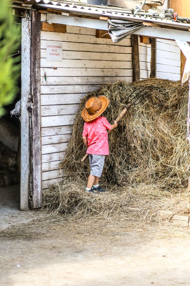 Фотография автора Юлия Жукова
