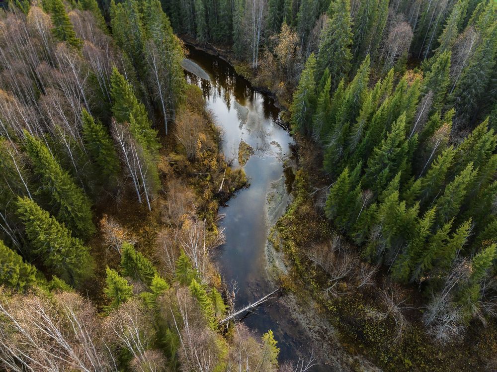 Photograph by Гончаренко Денис