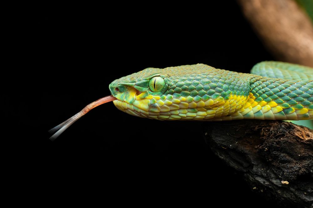 Photograph by Vivek Sundaram