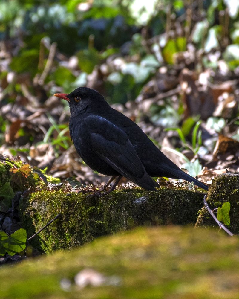 Photograph by Anton Leonchikov