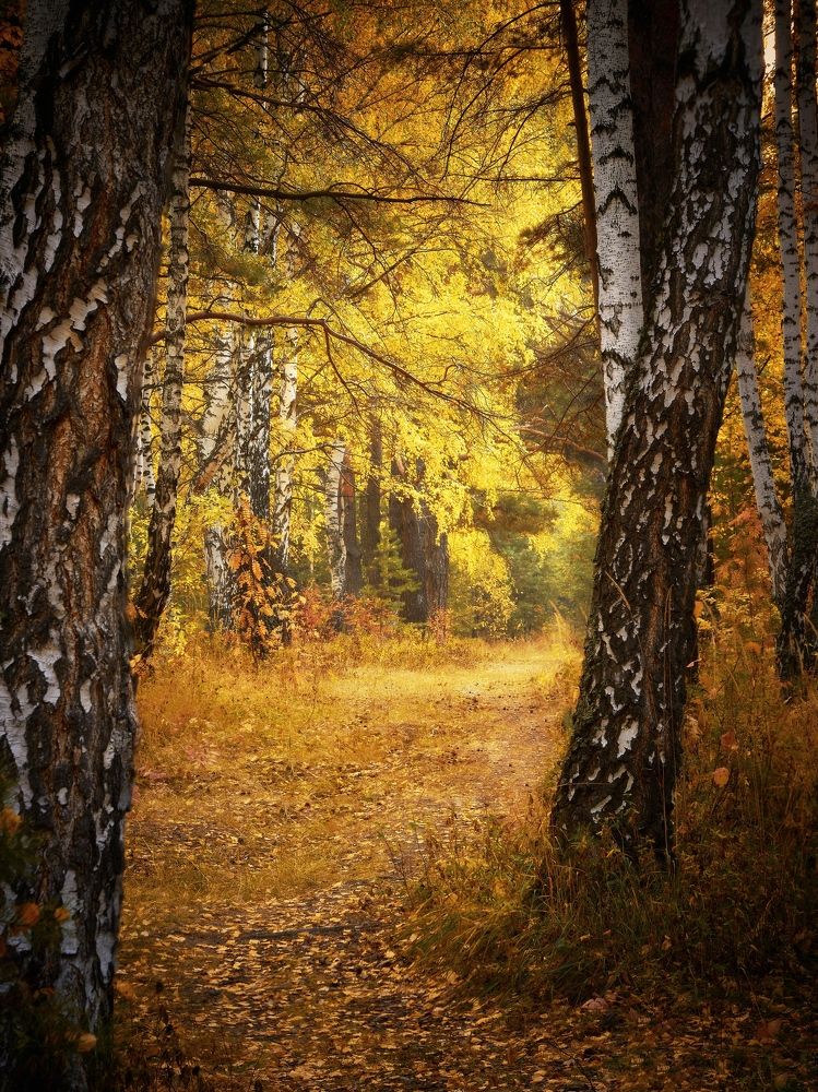 Photograph by Шаньгин Михаил