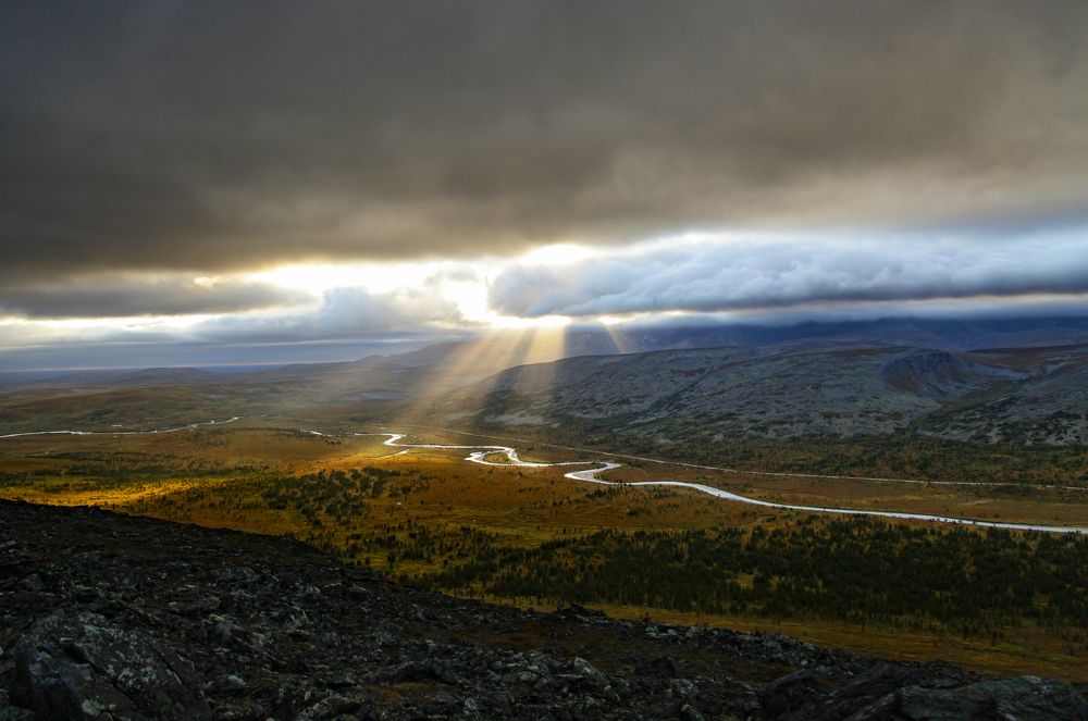 Фотография автора Елена Субботина