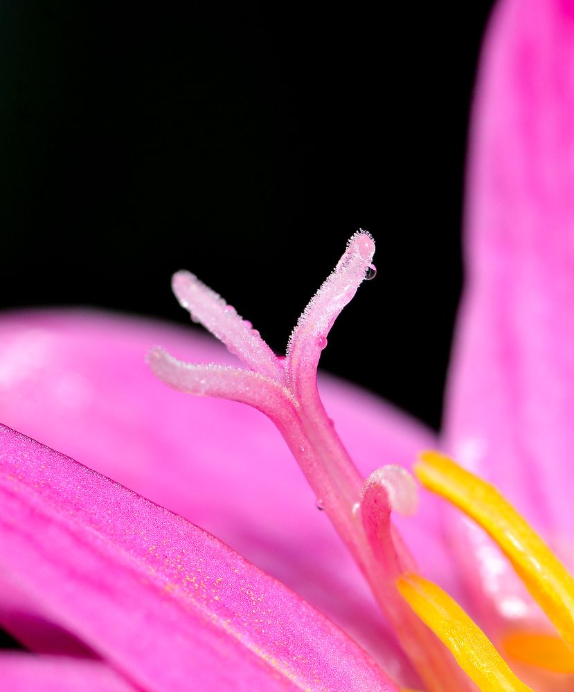 Photograph by Kasun Wickramasinghe