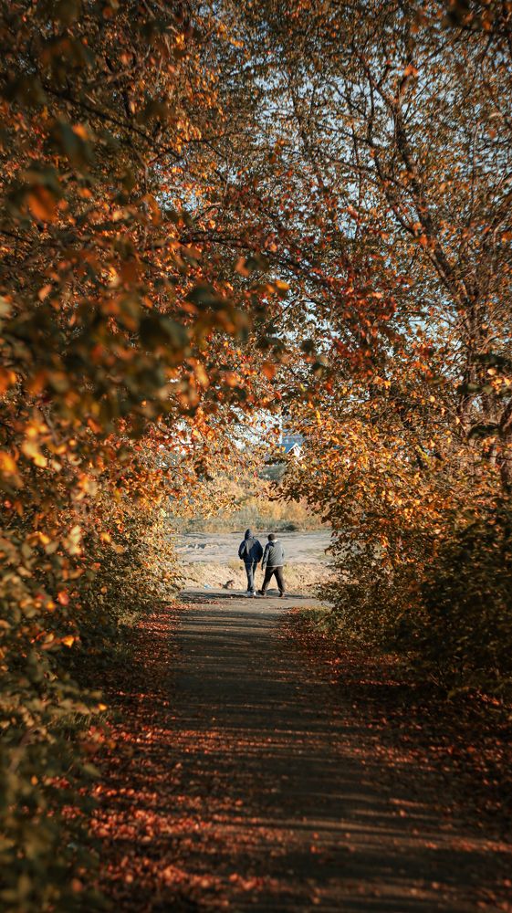 Photograph by Екатерина Богер