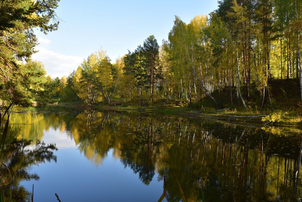 Фотография автора Сергей Чесноков