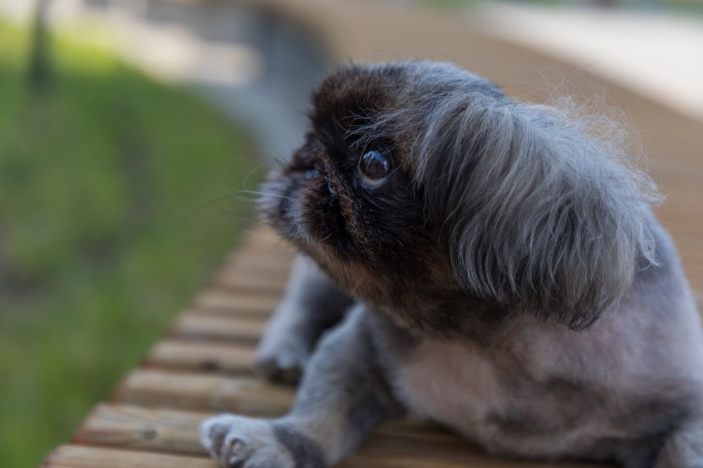 Photograph by Татьяна Гузева