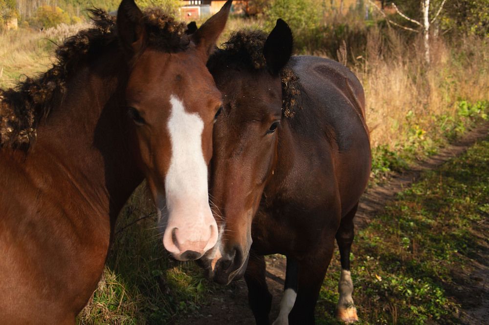 Photograph by Оксана Батракова