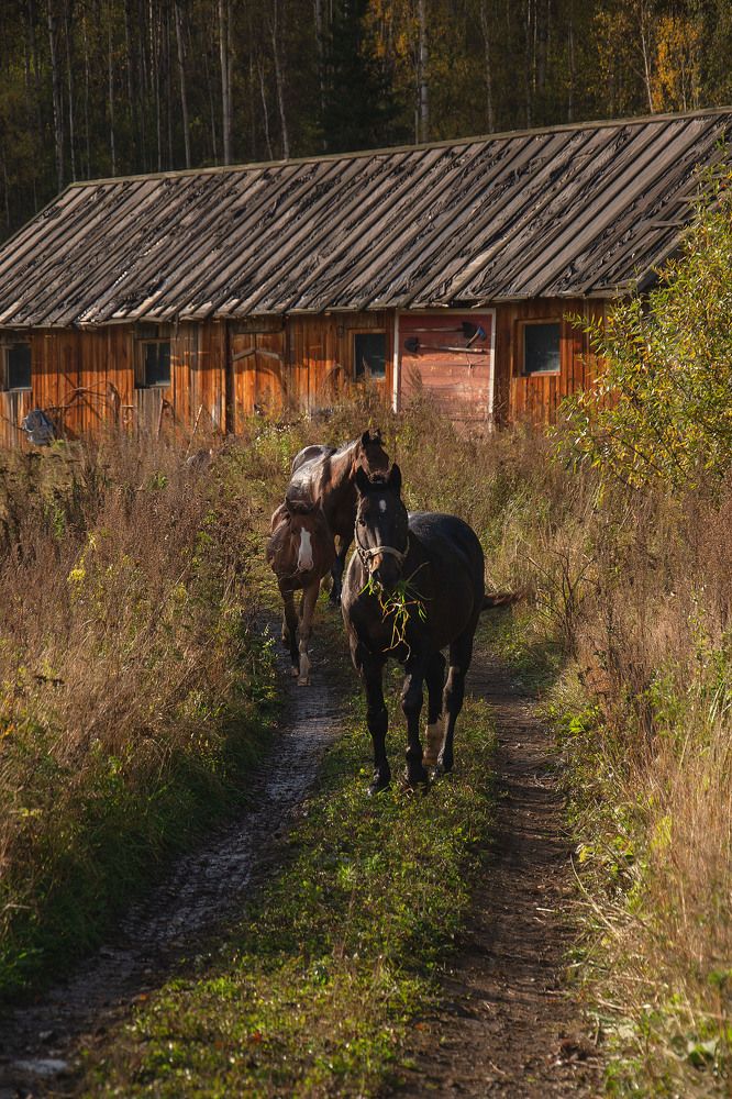 Photograph by Оксана Батракова