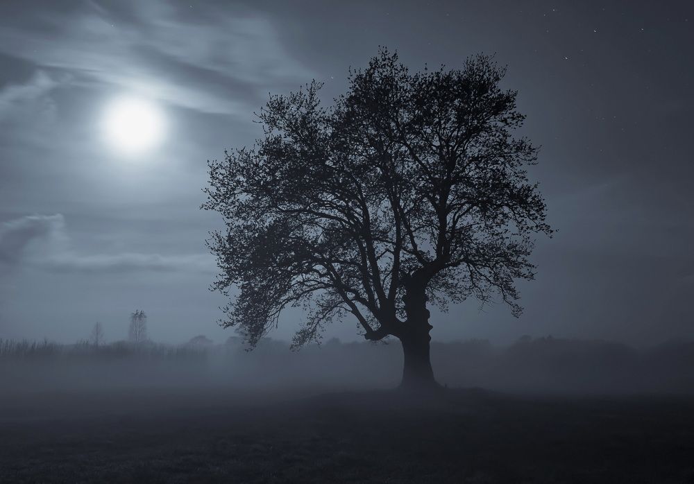 Photograph by Александр Гвоздь