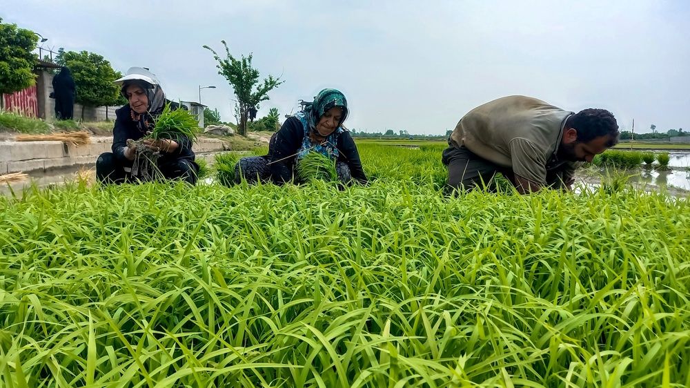 Photograph by mahdi ghanbari