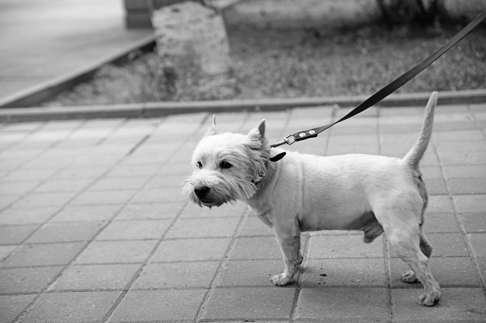 Photograph by АНДРЕЙ Роев