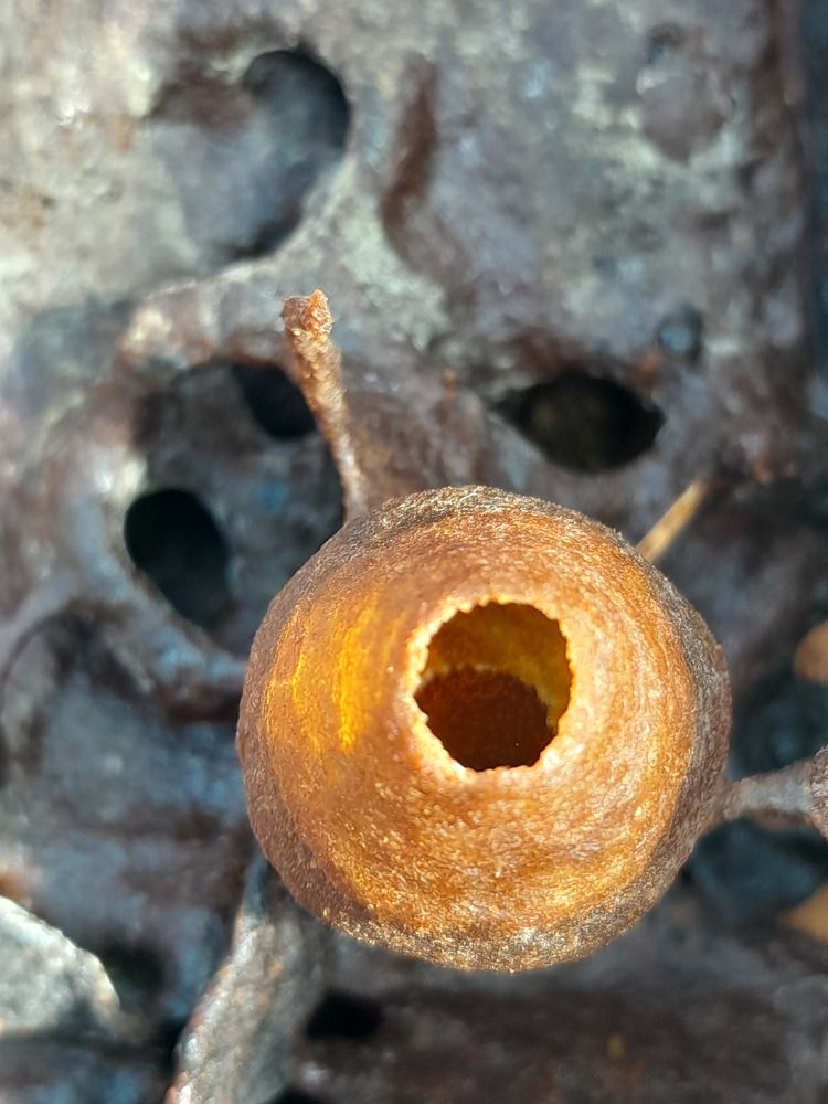 Фотография автора Zulfa