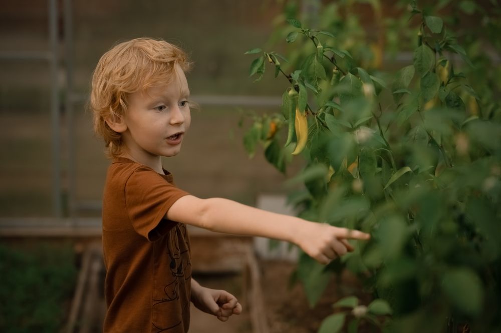 Photograph by Наталья Гришаева