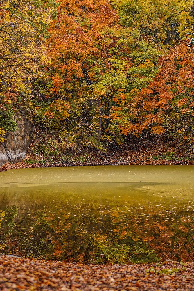 Photograph by Анна Колесниченко
