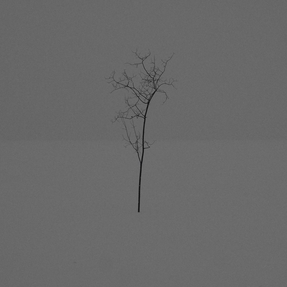 Photograph by Виктор Чернышов