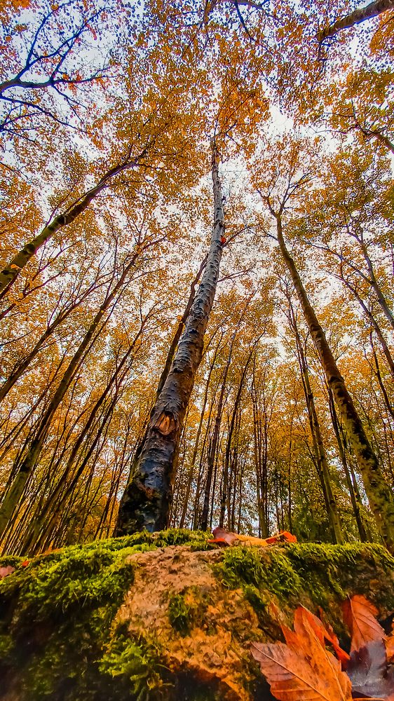 Photograph by mahdi ghanbari