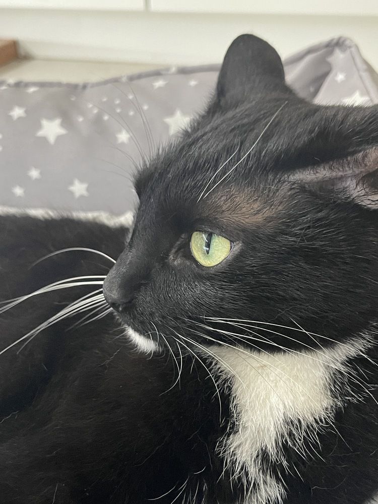 Photograph by Ольга Рачилова