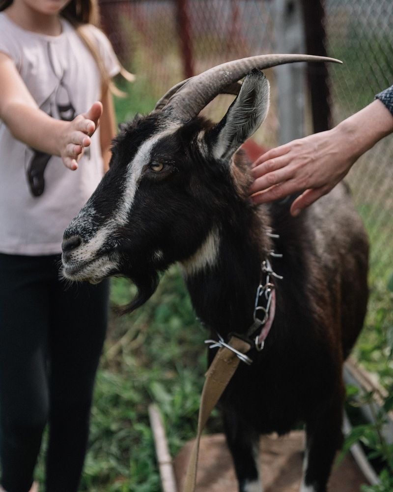 Photograph by Ольга Рачилова